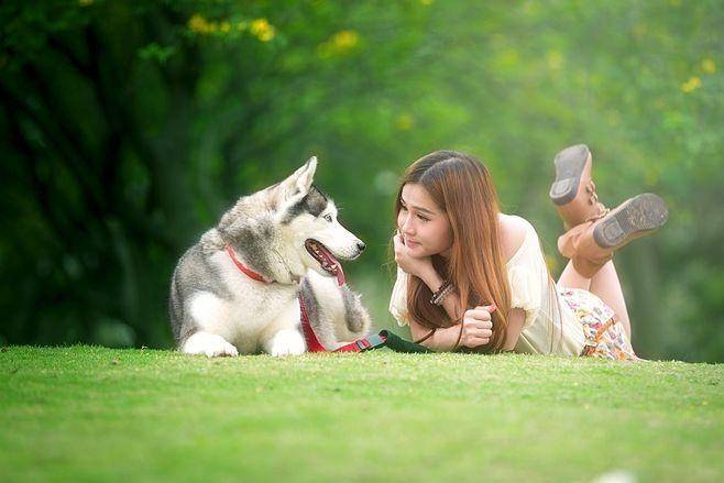 分析：现状、痛点、需求、趋势麻将胡了宠物食品行业产业链(图1)