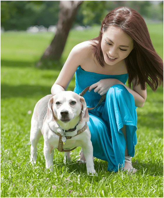 分析：现状、痛点、需求、趋势麻将胡了宠物食品行业产业链(图2)
