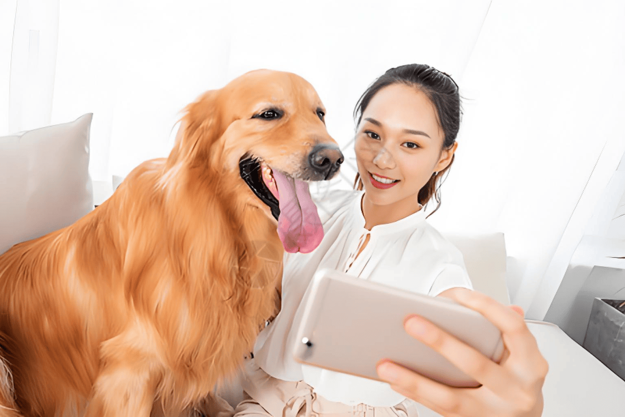 分析：现状、痛点、需求、趋势麻将胡了宠物食品行业产业链(图3)