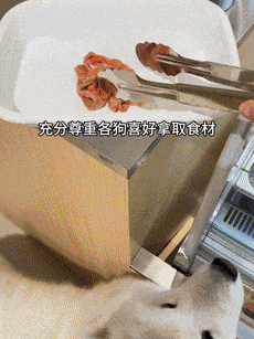 麻辣烫25一斤全是真肉上海狗有福了！麻将胡了模拟器破防了！上海惊现狗狗(图4)