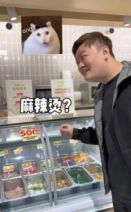麻辣烫25一斤全是真肉上海狗有福了！麻将胡了模拟器破防了！上海惊现狗狗(图8)