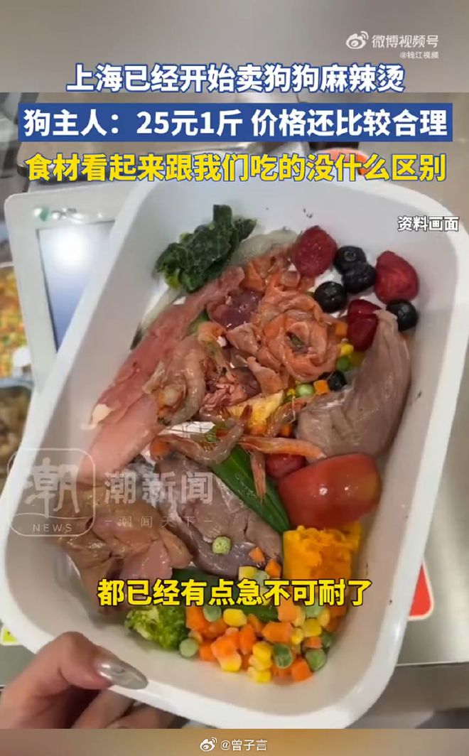 麻辣烫25一斤全是真肉上海狗有福了！麻将胡了模拟器破防了！上海惊现狗狗(图10)