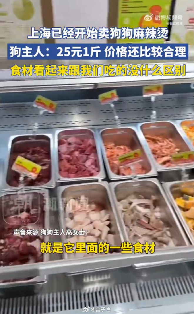 麻辣烫25一斤全是真肉上海狗有福了！麻将胡了模拟器破防了！上海惊现狗狗(图9)