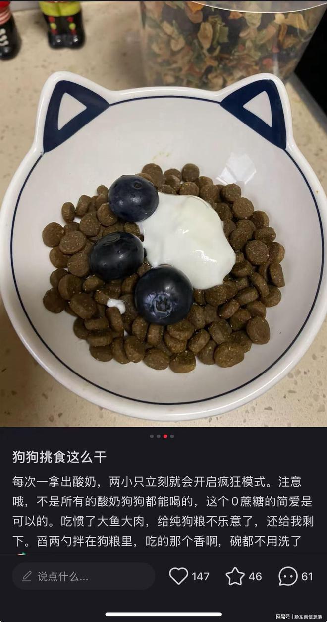净配方”撬动萌宠经济与母婴信任双赛道PG
