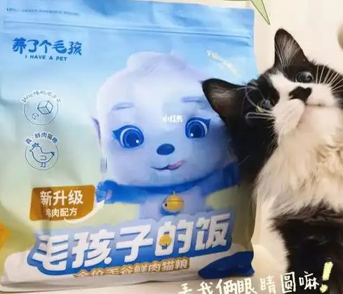 子口粮！三只松鼠靠什么重返宠物食品赛道PG电子麻将胡了2试玩零食巨头盯上毛孩(图3)